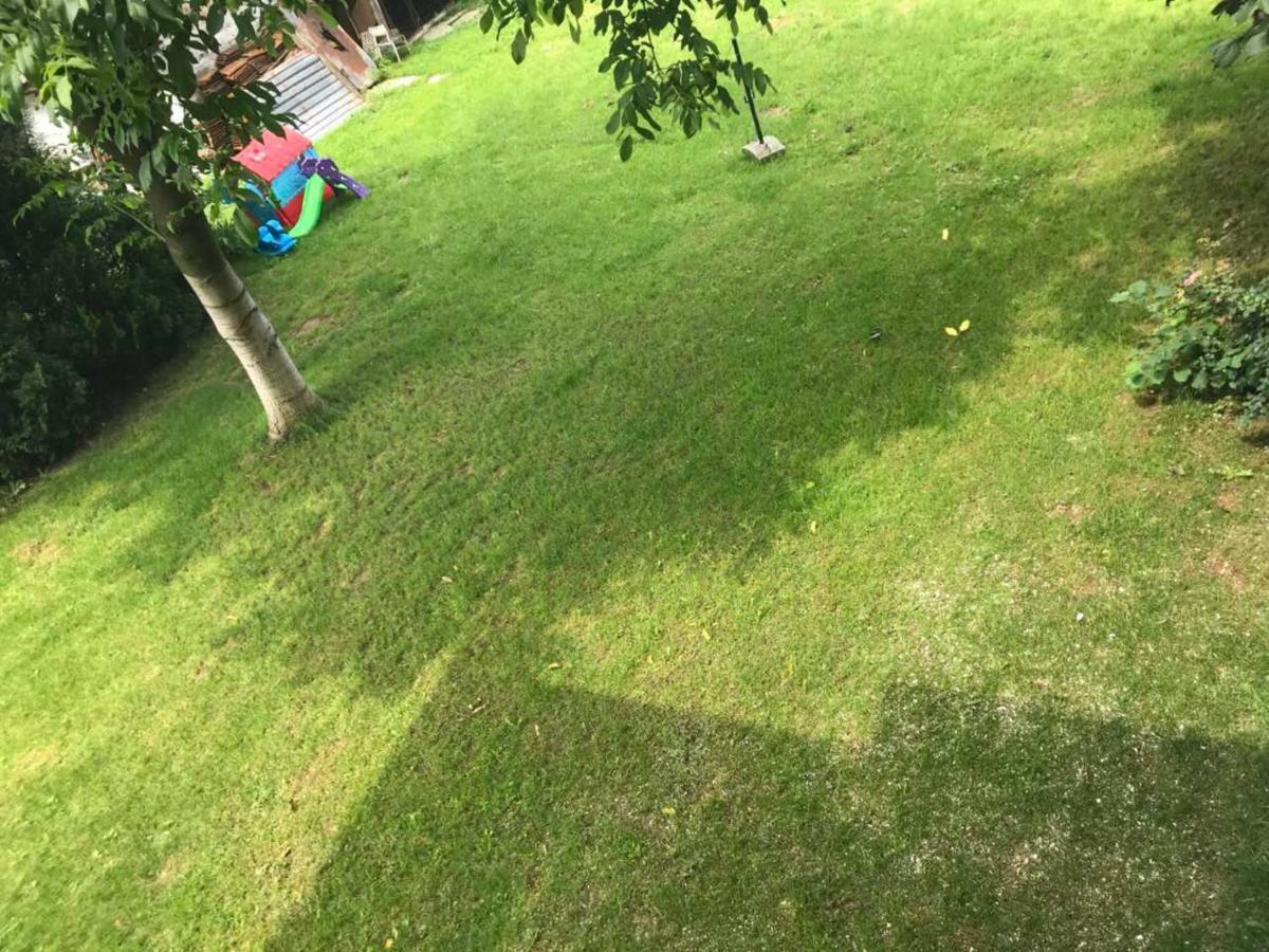 Hanja Daire Saraybosna Dış mekan fotoğraf